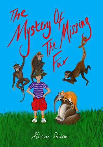 Cover image for The Mystery of The Missing Fur: (And Far More Mysterious Mysteries)