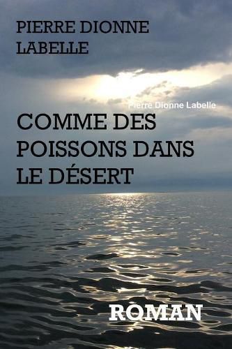 Cover image for Comme des poissons dans le desert