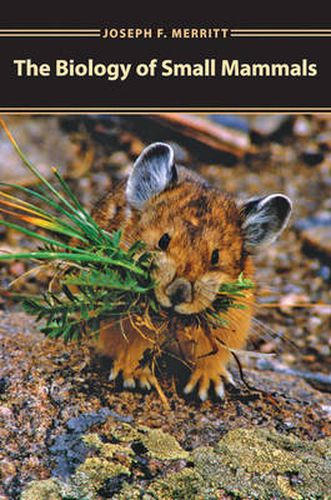 Cover image for The Biology of Small Mammals