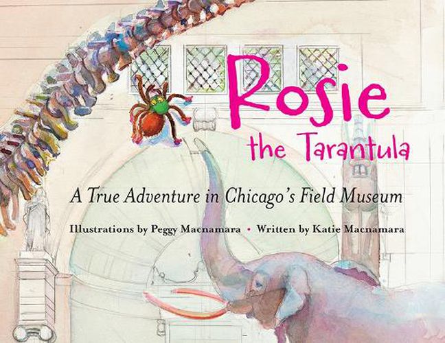 Cover image for Rosie the Tarantula: A True Adventure through Chicago's Field Museum