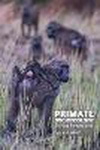 Cover image for Primate Socioecology