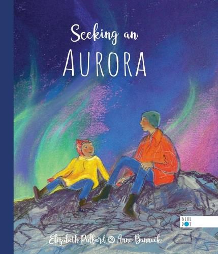 Cover image for Seeking an Aurora