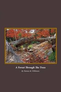 Cover image for A Forest Through The Trees