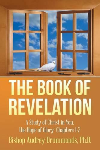 Cover image for The Book of Revelation