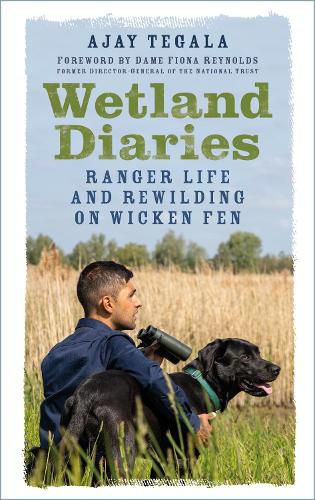 Cover image for Wetland Diaries