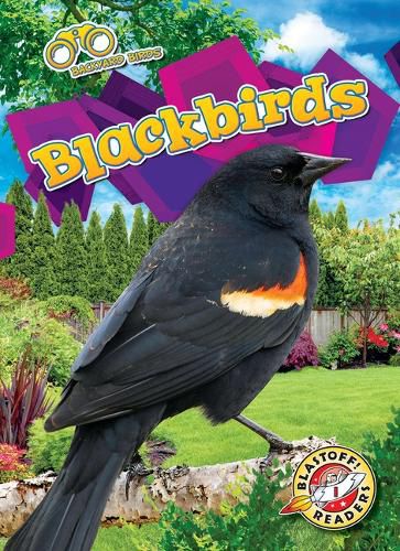 Cover image for Blackbirds