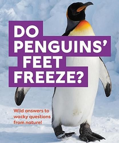 Do Penguins' Feet Freeze?