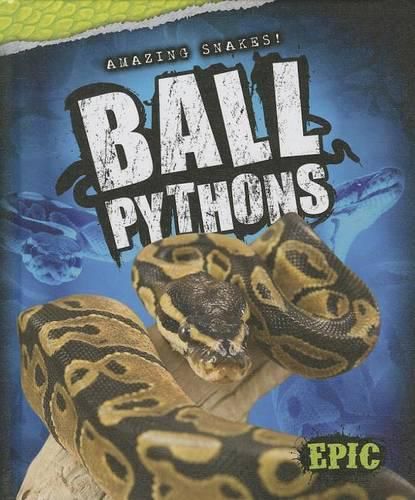 Cover image for Ball Pythons