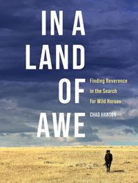 Cover image for In a Land of Awe: Finding Reverence in the Search for Wild Horses