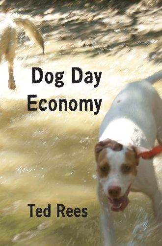 Cover image for Dog Day Economy