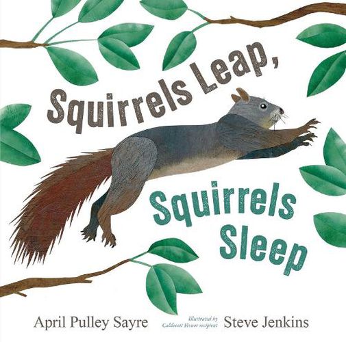 Cover image for Squirrels Leap, Squirrels Sleep