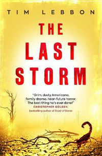 Cover image for The Last Storm