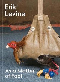 Cover image for Erik Levine: As a Matter of Fact