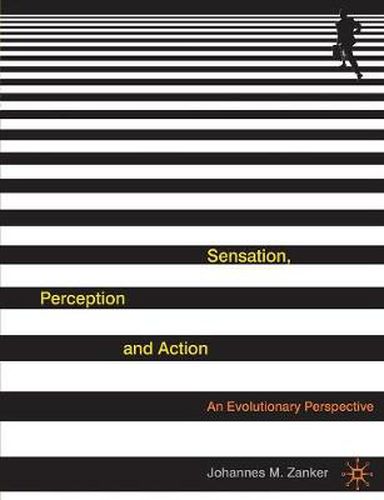 Cover image for Sensation, Perception and Action: An Evolutionary Perspective