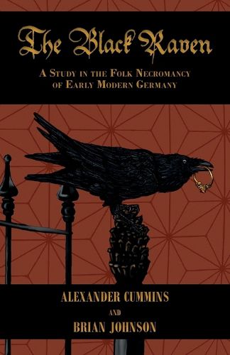Cover image for The Black Raven