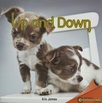 Cover image for Up and Down