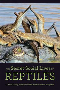 Cover image for The Secret Social Lives of Reptiles