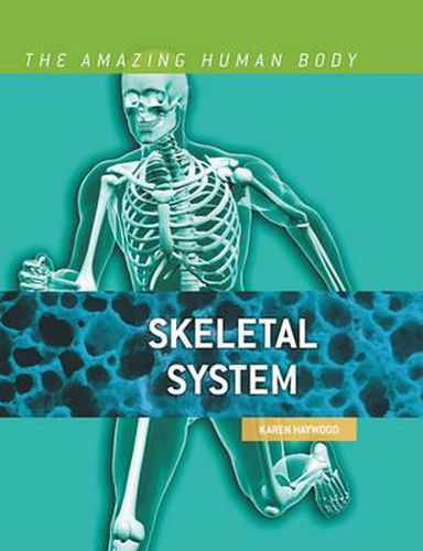 Skeletal System