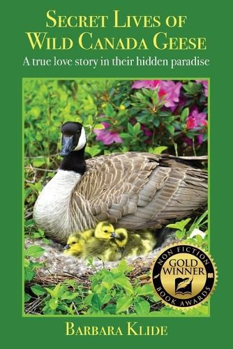 Cover image for Secret Lives of Wild Canada Geese: A true love story in their hidden paradise