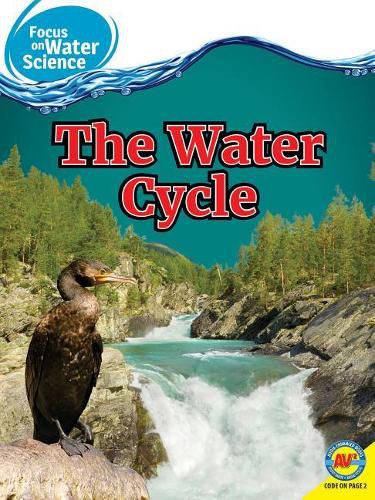 Cover image for The Water Cycle