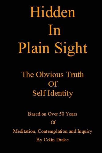 Cover image for Hidden in Plain Sight