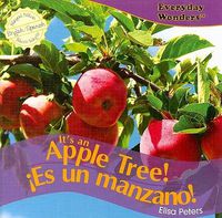 Cover image for It's an Apple Tree! / !Es Un Manzano!