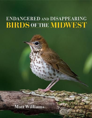 Cover image for Endangered and Disappearing Birds of the Midwest