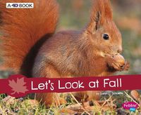 Cover image for Let's Look at Fall: A 4D Book