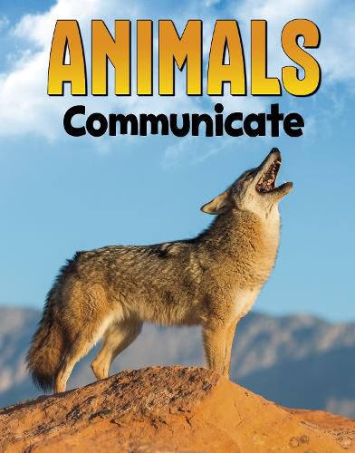 Cover image for Animals Communicate