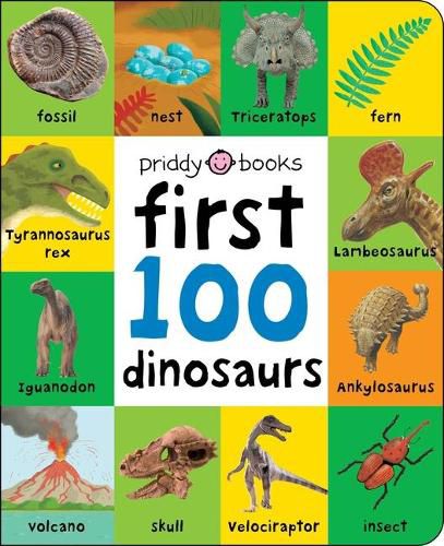 Cover image for First 100: First 100 Dinosaurs