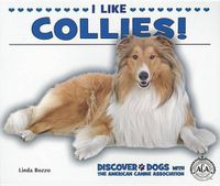 Cover image for I Like Collies!