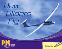 Cover image for How Gliders Fly