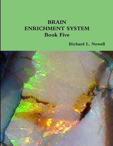 Cover image for Brain Enrichment System Book Five