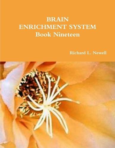 Cover image for BRAIN ENRICHMENT SYSTEM Book Nineteen