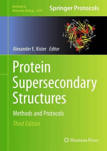 Cover image for Protein Supersecondary Structures