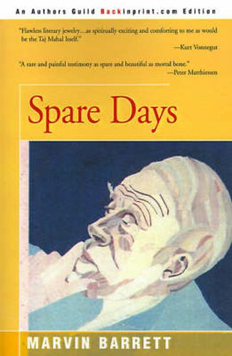 Cover image for Spare Days