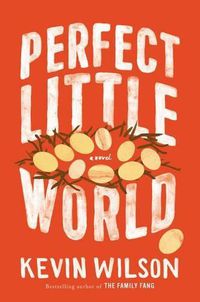 Cover image for Perfect Little World