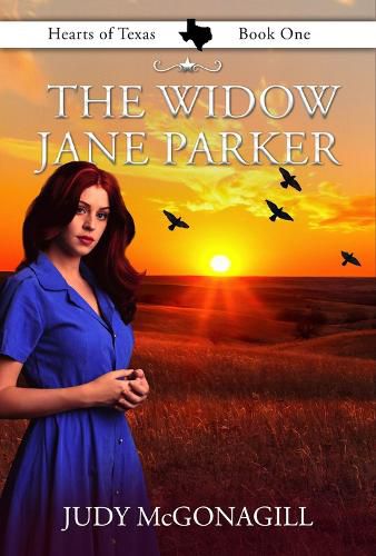 Cover image for The Widow Jane Parker