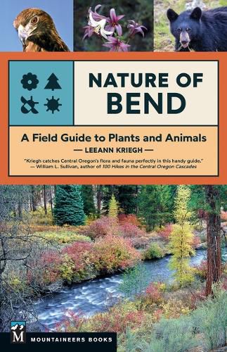 Cover image for Nature of Bend