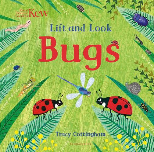 Cover image for Kew: Lift and Look Bugs