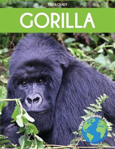 Cover image for Gorilla