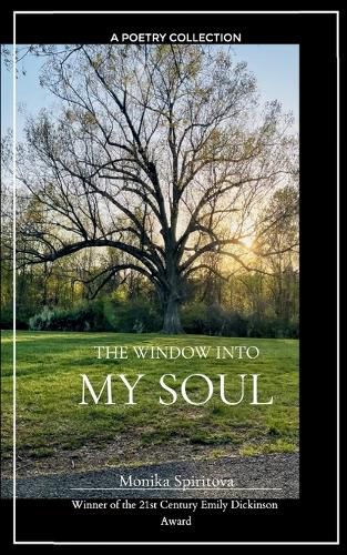 Cover image for The Window into My Soul (Edition1st)