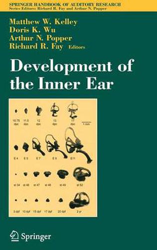 Development of the Inner Ear