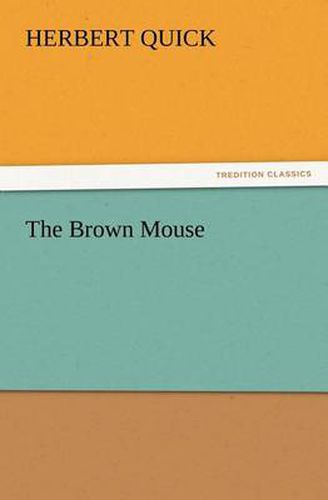 Cover image for The Brown Mouse