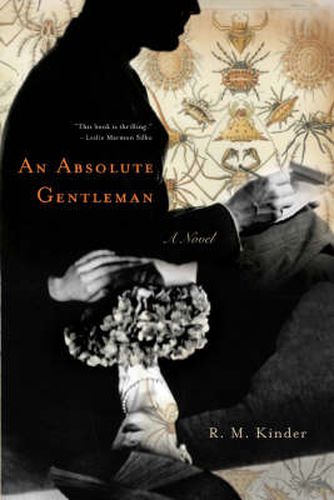 Cover image for An Absolute Gentleman: A Novel