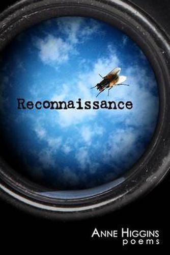 Cover image for Reconnaissance