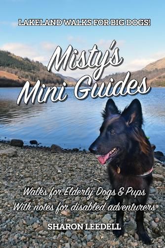 Cover image for Misty's Mini Guides