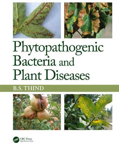 Cover image for Phytopathogenic Bacteria and Plant Diseases