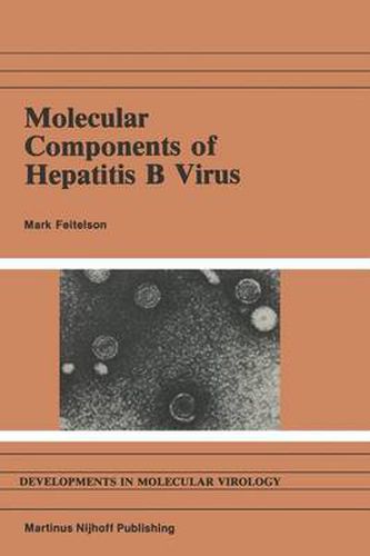 Cover image for Molecular Components of Hepatitis B Virus