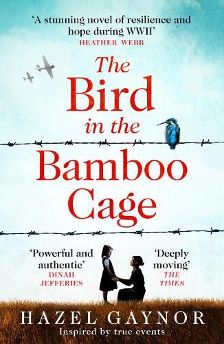 Cover image for The Bird in the Bamboo Cage